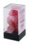 7 Pink/silver Ghostly Glow Polyhedral Dice Set - CHX27524